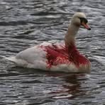 Profile Picture of Fairooz Sanad Alawamy (@fairoozsanadalawamy.alawamy) on Facebook