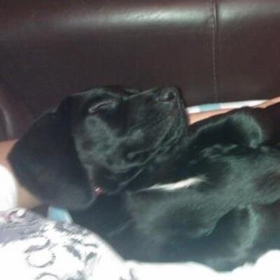 Profile Picture of Christopher Mulvey (@mulvo1) on Twitter