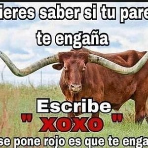 Profile Picture of OCTAVIO.GERARDO Macías Espinoza (@OCTAVIOGERARDO6) on Twitter