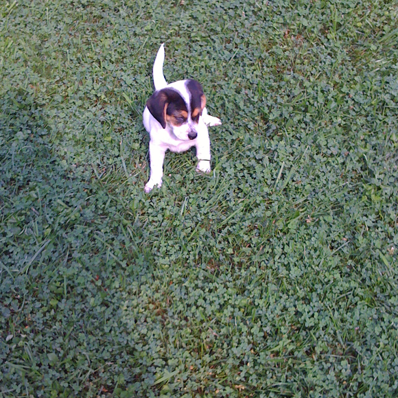 Profile Picture of Amanda Clonch (@mandahbr) on Poshmark