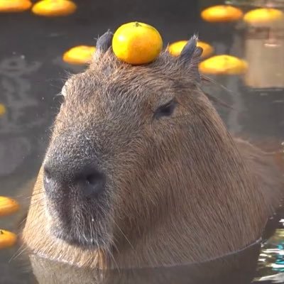 Profile Picture of Javier Reyna (@TheAP64) on Twitter