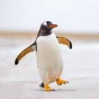 Profile Picture of John Roppolo (@john-roppolo) on Quora