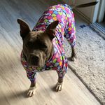 Profile Picture of Katie capps (@ladysam1111) on Instagram