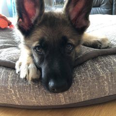 Profile Picture of Aaron Harper192 (@aaron.har) on Tiktok