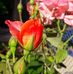 Profile Picture of Andrea Tomasello (@andrea.tomasello.376) on Facebook