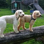 Profile Picture of Peter Kreuser (@pet_kre) on Instagram