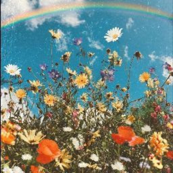 Profile Picture of Dallas Ficzko (@dallasficzko) on Poshmark