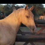 Profile Picture of Martín Aiassa (@aiassamartin) on Instagram