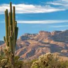 Profile Picture of Gerry Patton (@gerrypatton7) on Twitter