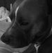 Profile Picture of Randa Moore (@Randa-Moore) on Facebook