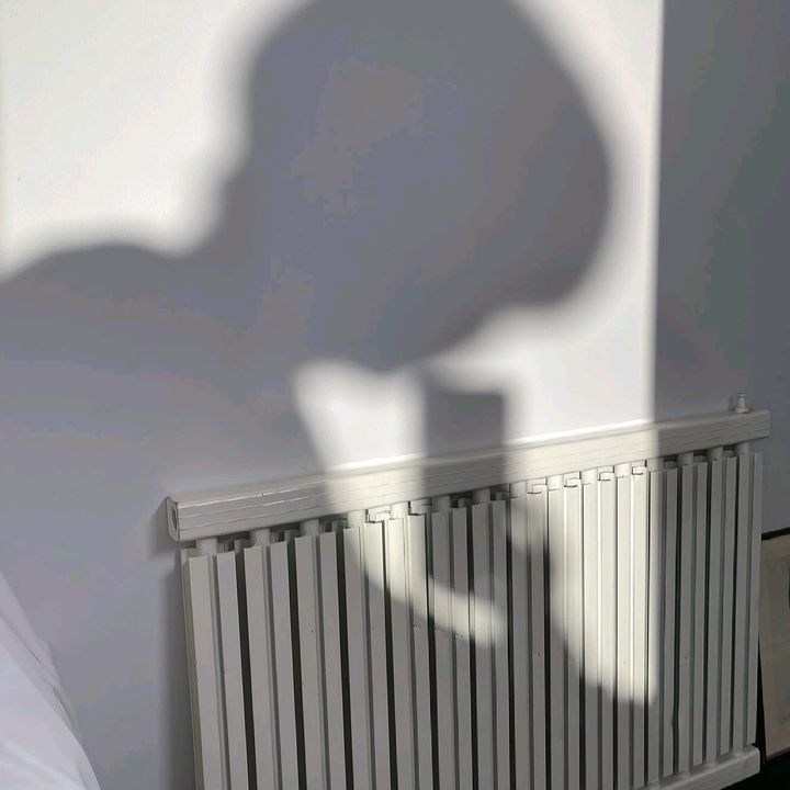 Profile Picture of Celeste Rug (@aloisda) on Tiktok