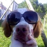 Profile Picture of Stephane Thibault (@stephane.thibault.5492) on Instagram