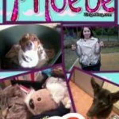 Phoebe Cox - Twitter Profile Picture of Phoebe Cox (@phoebecox123) on Twitter