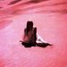 Profile Picture of paula (@paulareimer) on Pinterest