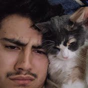 Profile Picture of Alex Gallegos (@Al3xG285) on Youtube