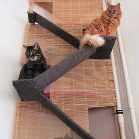 Profile Picture of Pamela Alvarez (@pamcanchita) on Pinterest