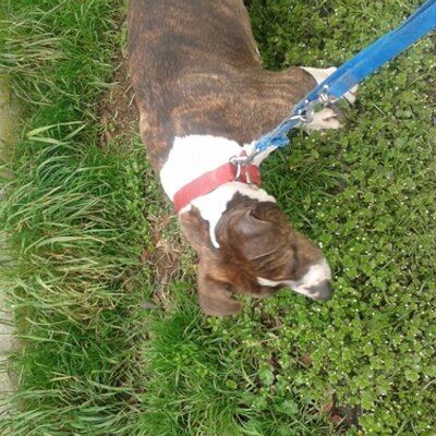 Profile Picture of Ale (@AleDigarbo) on Twitter