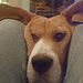 Profile Picture of Scott Ensor (@ensor50) on Pinterest