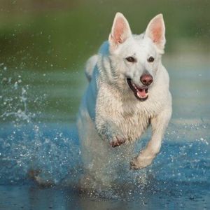 Profile Picture of Anna Arnold (@anna.banana.cabana) on Myspace