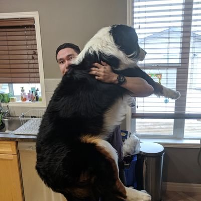 Profile Picture of Steven Brett (@sbrett55) on Twitter