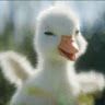 Profile Picture of Anthony Utterback (@anthonyutterback33) on Pinterest