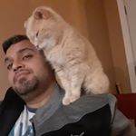 Profile Picture of Rex paul (@rexpaul8298) on Instagram