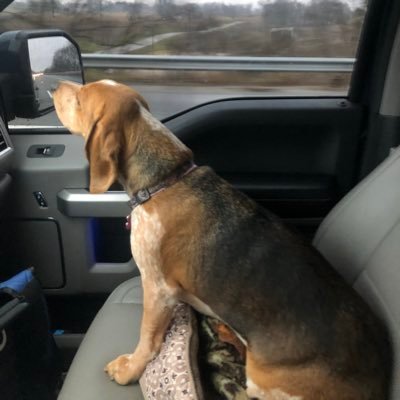 Profile Picture of Ted Walter (@tcw3c) on Twitter