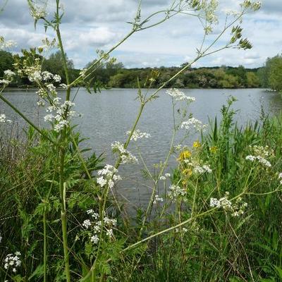 Profile Picture of Rhoda Mitchell (@RhodaHuddleston) on Twitter