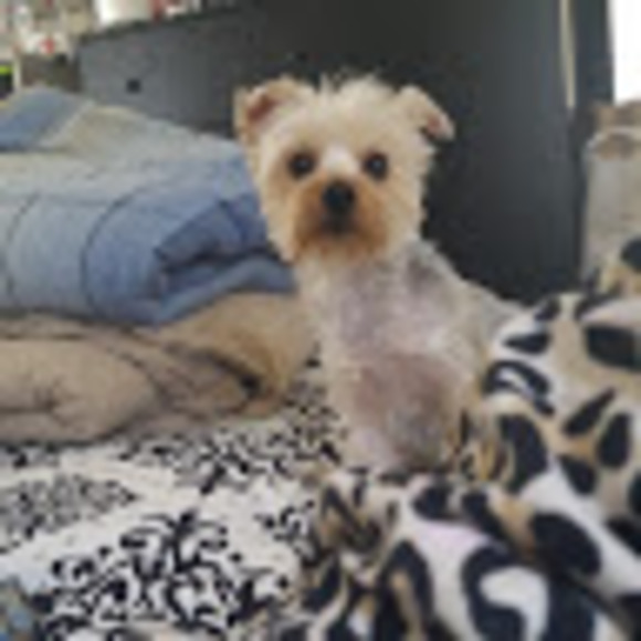 Cinthia Cabrera - Poshmark Profile Picture of Cinthia Cabrera (@cinthia111281) on Poshmark