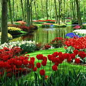 Profile Picture of Hsin-Hsin Liu (@hsin-hsinliu6821) on Youtube