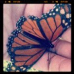 Profile Picture of Cathy Lester (@lesdurr) on Instagram