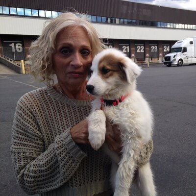 Profile Picture of Linda Decker (@lindadecker58) on Twitter
