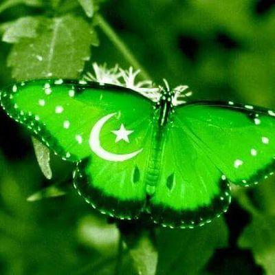 Profile Picture of Amna Tahiri (@AmnaMemon5) on Twitter