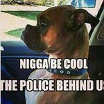 Maurice Snell - Instagram Profile Picture of Maurice Snell (@m1records) on Instagram