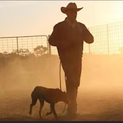 Profile Picture of Joe Spicer GoGetta Kelpie Stud (@joespicergogettakelpiestud4851) on Youtube