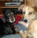Profile Picture of Sue Maharas (@sue.maharas) on Facebook