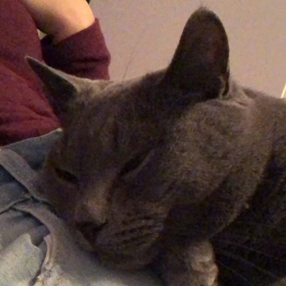 Profile Picture of Marce Gilligan (@marce945) on Poshmark