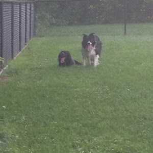 Profile Picture of josephrosenfeld57 (@josephrosenfeld57) on Tiktok