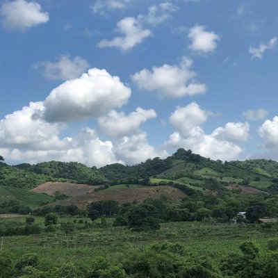 Profile Picture of Rubén Alcívar M (@alcivarmelquis) on Twitter