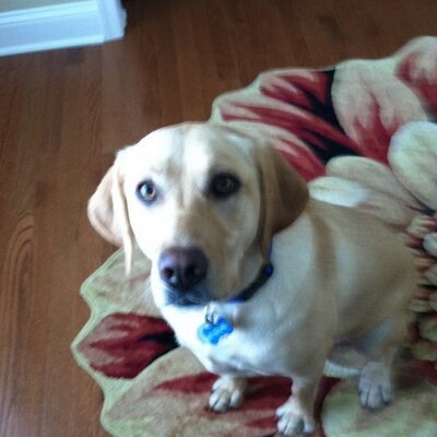 Profile Picture of Chris Squier (@mcsquier) on Twitter