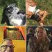 Profile Picture of Danny Mayberry (@dannymayberry1143) on Pinterest
