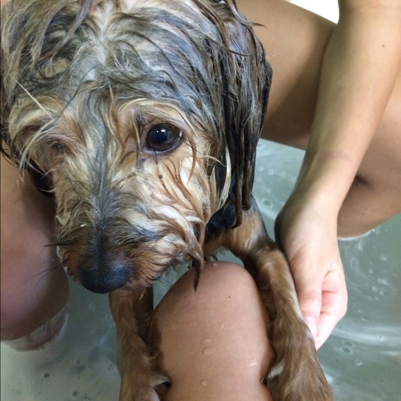 Profile Picture of Alyssa Lovern (@ah_lovern) on Poshmark