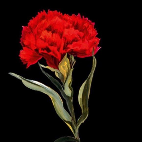 Profile Picture of Chris Falcone (@geniuslady) on Poshmark