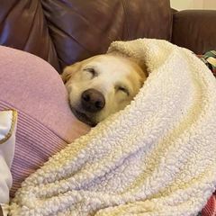 Profile Picture of elliemae79 (@ellenparkshoffman) on Tiktok