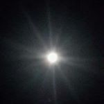 Profile Picture of gavin nyere (@gavin_shacksonvilla) on Instagram