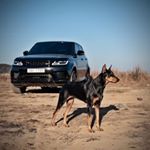 Profile Picture of M. (@mark_toyer7) on Instagram