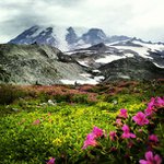 Profile Picture of leonardhooper1575 (@leonardhooper1575) on Instagram
