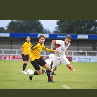 Profile Picture of Matthew Steer (@msteero) on Twitter
