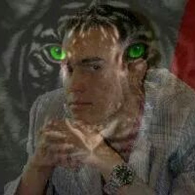 Profile Picture of Justin Tiger (@jaytiger100mil1) on Twitter