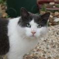 Profile Picture of Lori Sledge (@lorisledge) on Pinterest